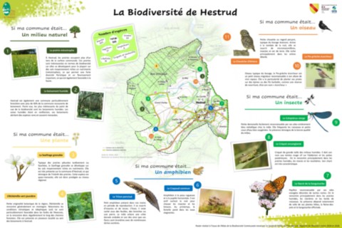 Atlas de la Biodiversité Hestrud